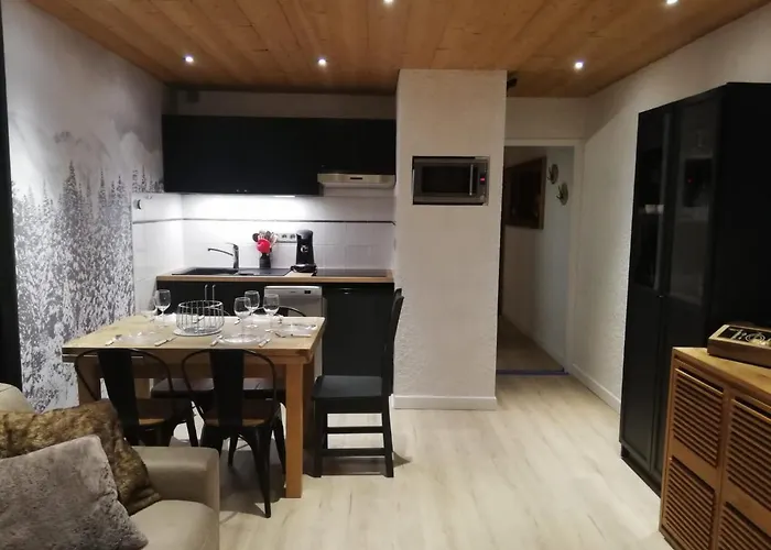 Les Deux Alpes, Le Lauvitel, Cosy, Pied Des Pistes, 2 Adultes 2 Enfants Ле-дез-Альп