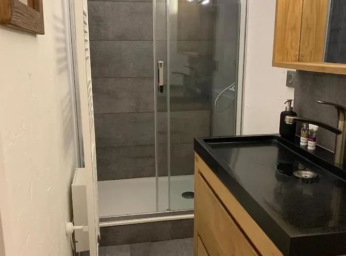 Les Deux Alpes, Le Lauvitel, Cosy, Pied Des Pistes, 2 Adultes 2 Enfants Ле-дез-Альп