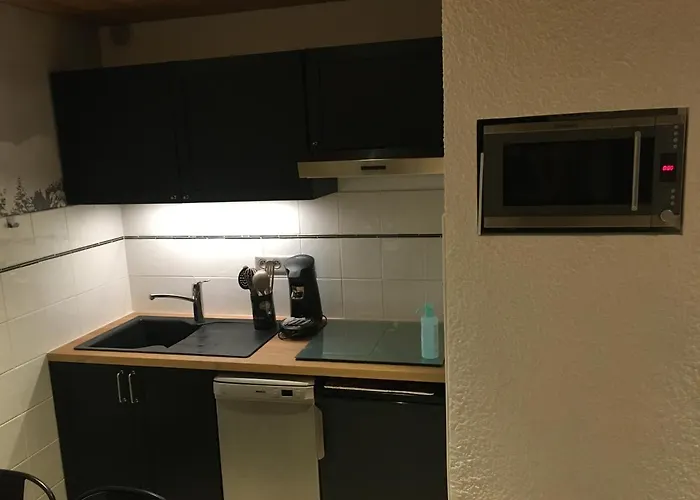 Les Deux Alpes, Le Lauvitel, Cosy, Pied Des Pistes, 2 Adultes 2 Enfants